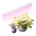 LED virtuvės šviestuvas, kabinamas po spintele augalams auginti GROWLY LED/9W/230V balta