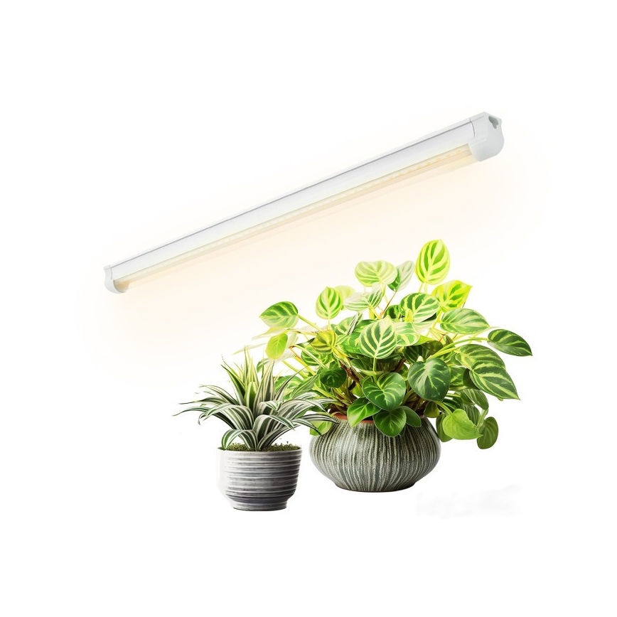 LED virtuvės šviestuvas, kabinamas po spintele augalams auginti GROWLY LED/9W/230V balta