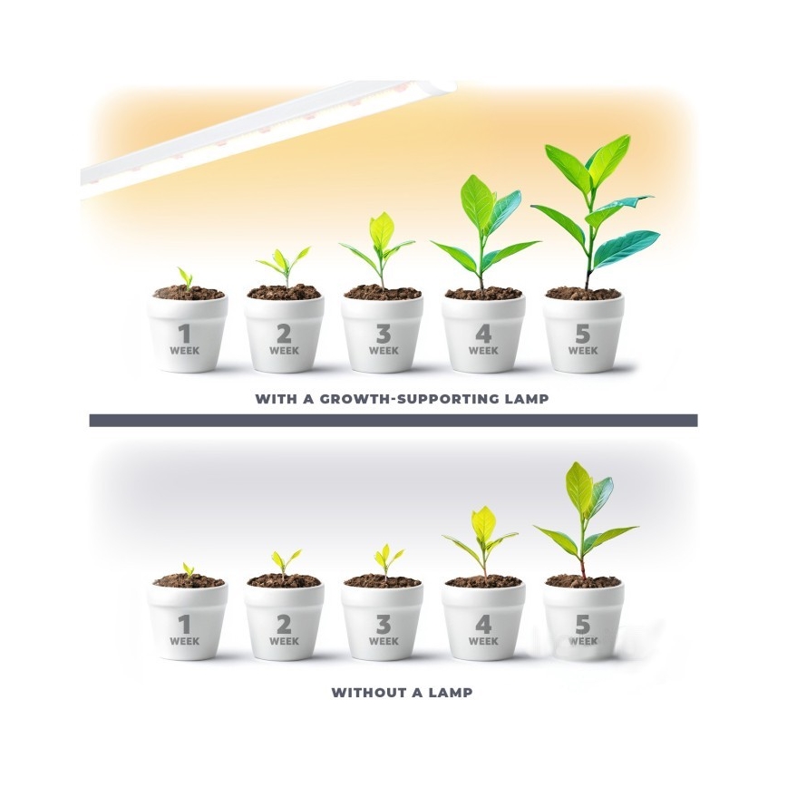 LED virtuvės šviestuvas, kabinamas po spintele augalams auginti GROWLY LED/9W/230V balta