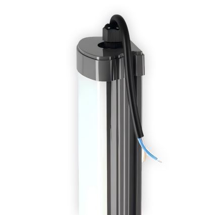 LED virtuvės šviestuvas, kabinamas po spintele LED/60W/230V 6000K 120 cm IP65 juoda