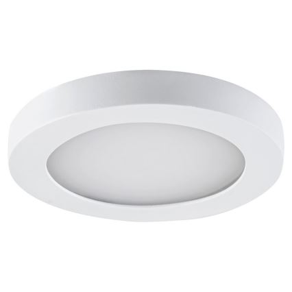 LED Vonios įleidžiamas šviestuvas COCO LED/3W/230V IP44 baltas