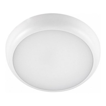 LED vonios kambario lubinis šviestuvas DEFENDER LED/12/18/24W/230V 3000/4000/6500K IP65 skersmuo 30 cm balta