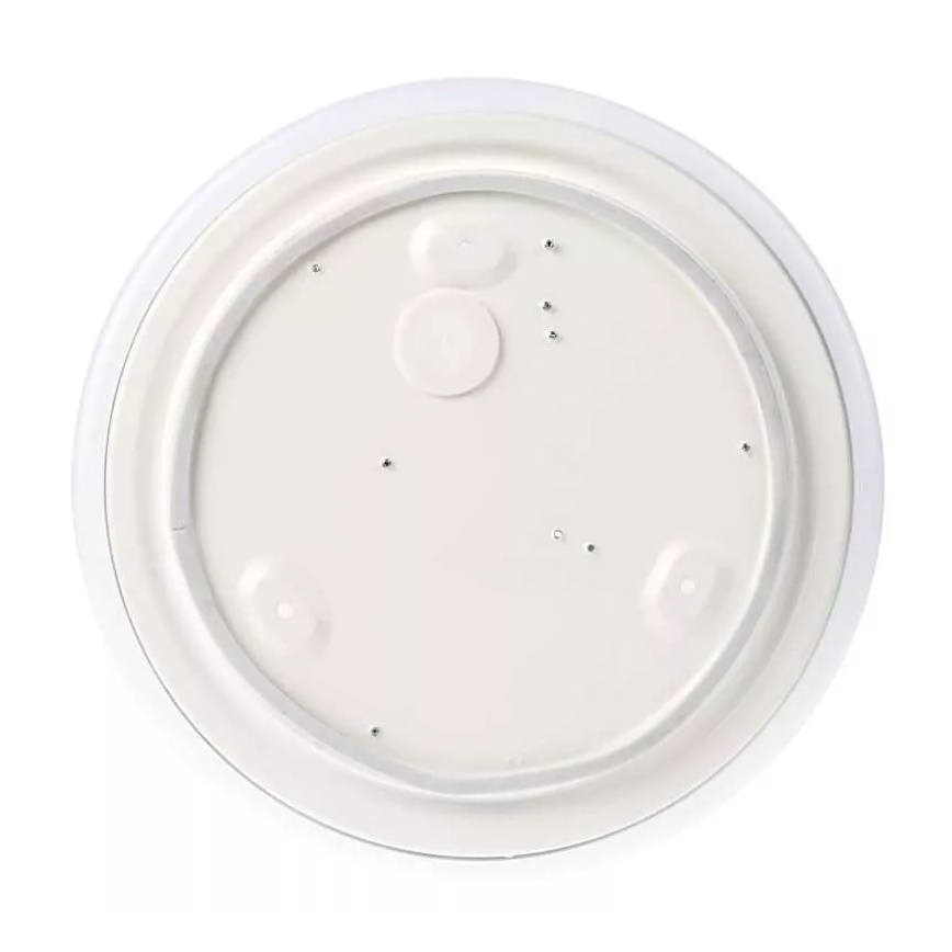 LED Vonios kambario lubinis šviestuvas LED/12W/230V IP44