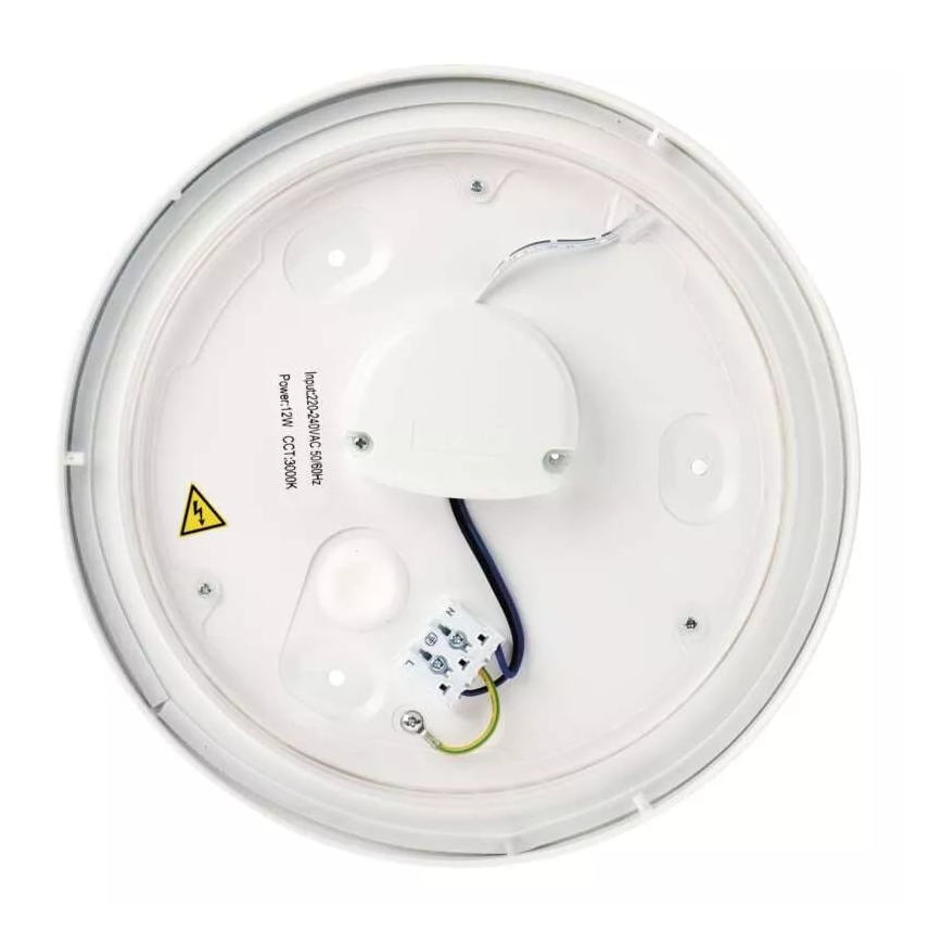 LED Vonios kambario lubinis šviestuvas LED/12W/230V IP44