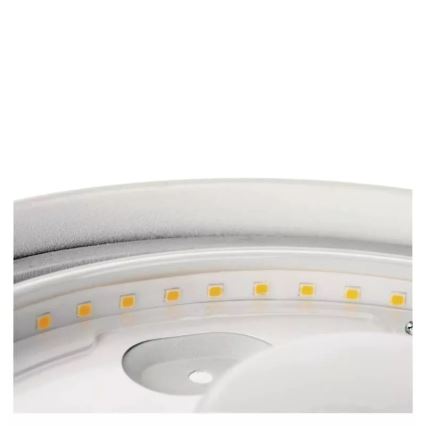 LED Vonios kambario lubinis šviestuvas LED/12W/230V IP44