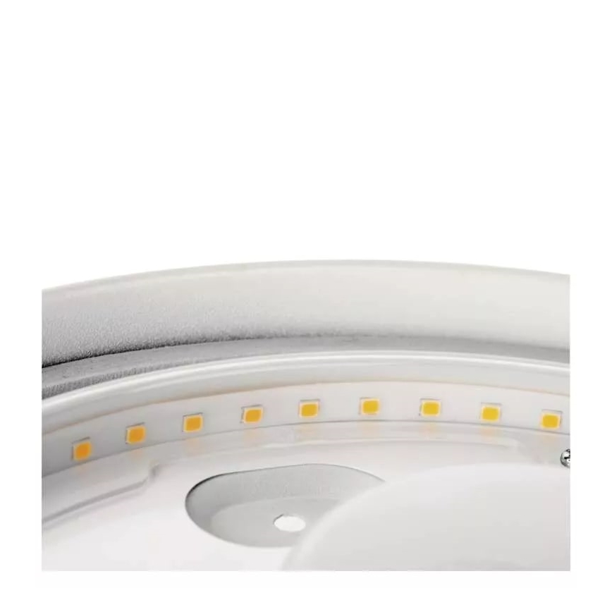 LED Vonios kambario lubinis šviestuvas LED/12W/230V IP44