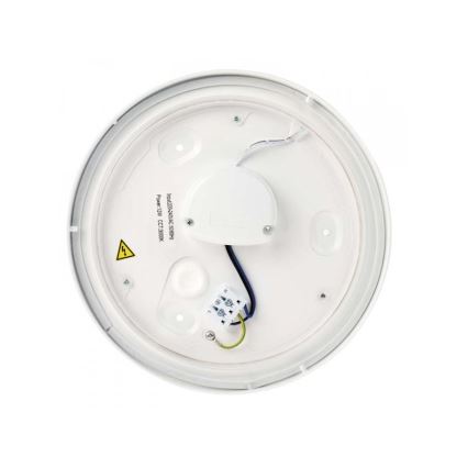 LED Vonios kambario lubinis šviestuvas LED/18W/230V IP44