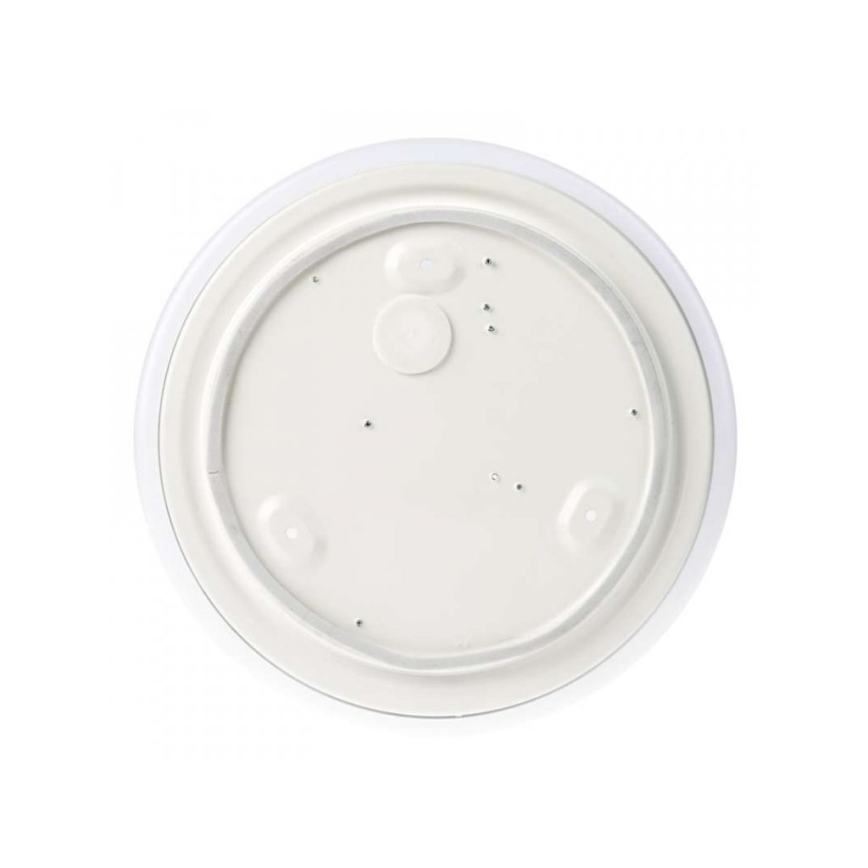 LED Vonios kambario lubinis šviestuvas LED/18W/230V IP44
