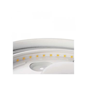 LED Vonios kambario lubinis šviestuvas LED/22W/230V IP44