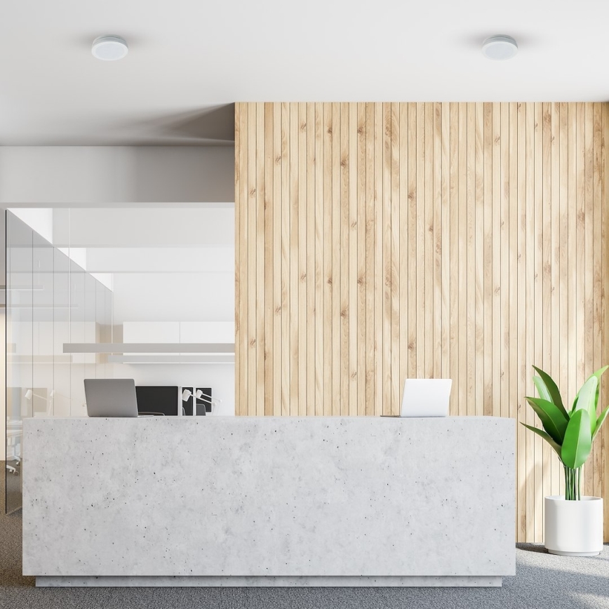 LED vonios kambario lubinis šviestuvas MARLON LED/12W/230V skersmuo 18 cm IP54 baltas