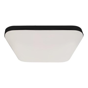LED Vonios kambario lubinis šviestuvas NEMO LED/17W/230V IP44 juodas