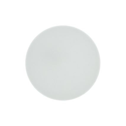 LED vonios kambario lubinis šviestuvas RIMA LED/10W/230V skersmuo 22,5 cm IP44 balta