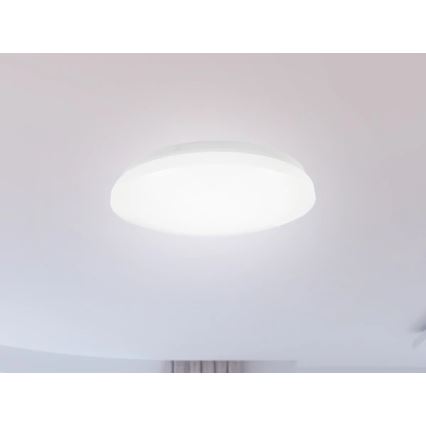 LED vonios kambario lubų šviestuvas OPAL LED/12W/230V skersmuo 24,5 cm IP44 baltas