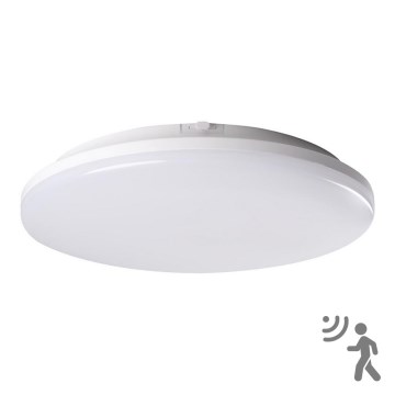 LED Vonios kambario šviestuvas su jutikliu STIVI LED/24W/230V IP65