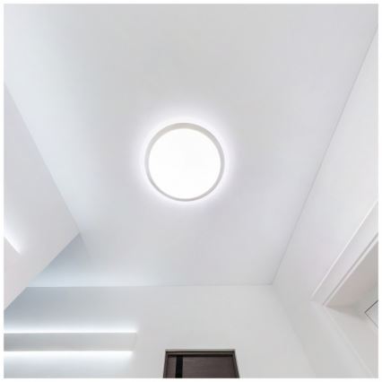 LED vonios lubinis šviestuvas DEFENDER LED/12/18/24W/230V 3000/4000/6500K IP65 skersmuo 30 cm baltas