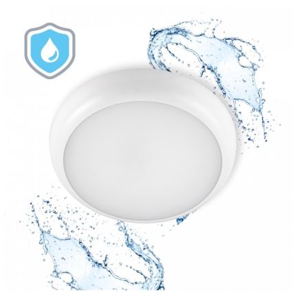 LED vonios lubinis šviestuvas DEFENDER LED/12/18/24W/230V 3000/4000/6500K IP65 skersmuo 30 cm baltas