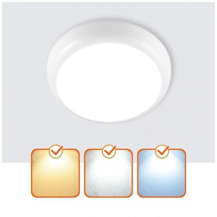 LED vonios lubinis šviestuvas DEFENDER LED/12/18/24W/230V 3000/4000/6500K IP65 skersmuo 30 cm baltas
