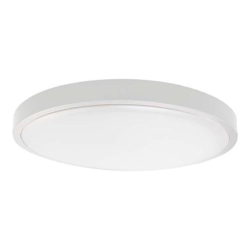 LED Vonios lubinis šviestuvas LED/24W/230V 3000K IP44 baltas