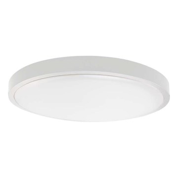 LED Vonios lubinis šviestuvas LED/30W/230V 6500K IP44 baltas