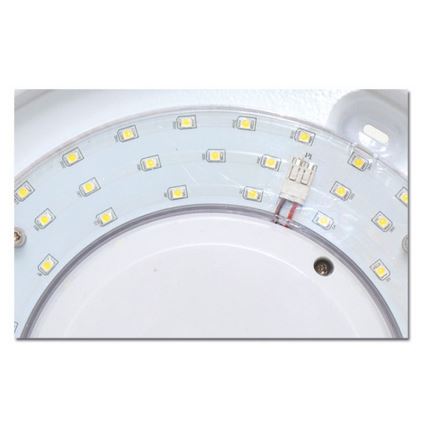 LED Vonios lubinis šviestuvas VICTOR LED/18W/230V IP44