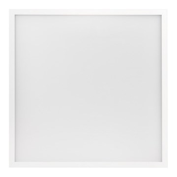 LED vonios lubų panelė PROFI PLUS LED/40W/230V IP44