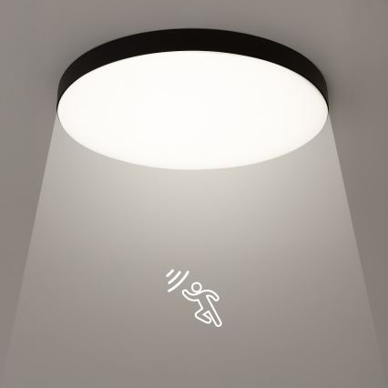 LED Lubų vonios kambario šviestuvas su sensoriumi MAYA LED/13W/230V skersmuo 33 cm IP44 juodas