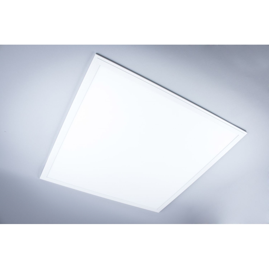 LED Ant pagrindo montuojama vonios panelė LED/40W/230V 4000K 59,5x59,5 cm IP65 balta