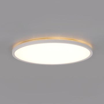 LED vonios šviestuvas su judesio ir sutemų jutikliu NIVERA LED/12W/230V IP54 3000/4000/6000K skersmuo 22,5 cm balta + nuotolinis valdymas