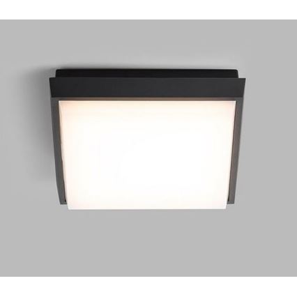 LED2 - LED Lauko lubinis šviestuvas QUADO LED/10W/230V antracitas IP54