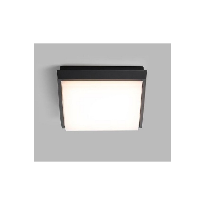 LED2 - LED Lauko lubinis šviestuvas QUADO LED/10W/230V antracitas IP54