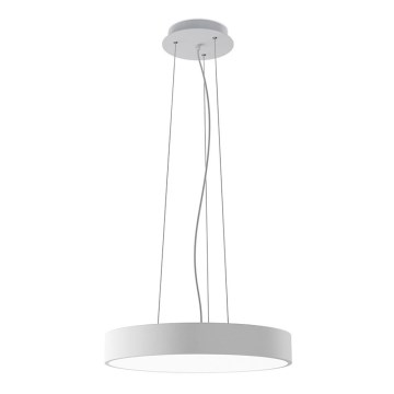 LED2 - LED pakabinamas šviestuvas ant laido MONO SLIM LED/30W/230V 3000K/4000K Ø 40 cm, baltas