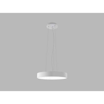 LED2 - LED pakabinamas šviestuvas ant laido MONO SLIM LED/30W/230V 3000K/4000K Ø 40 cm, baltas