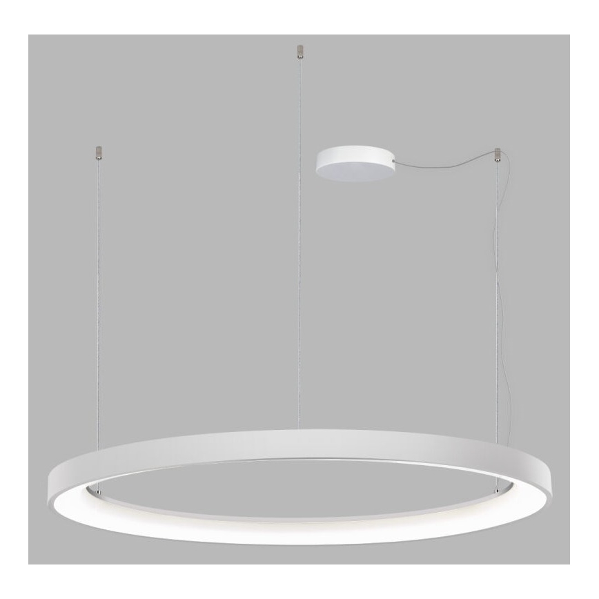 LED2 - LED Reguliuojamas pakabinamas sietynas BELLA LED/80W/230V 3000K/4000K baltas