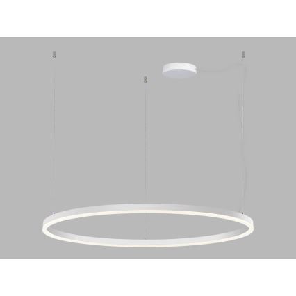 LED2 - LED Reguliuojamas pakabinamas sietynas CIRCLE LED/80W/230V 3000K/4000K diametras 100 cm balta