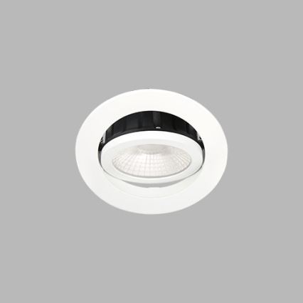 LED2 - LED Reguliuojamas vonios įleidžiamas šviestuvas MAX LED/8W/230V 3000K IP65