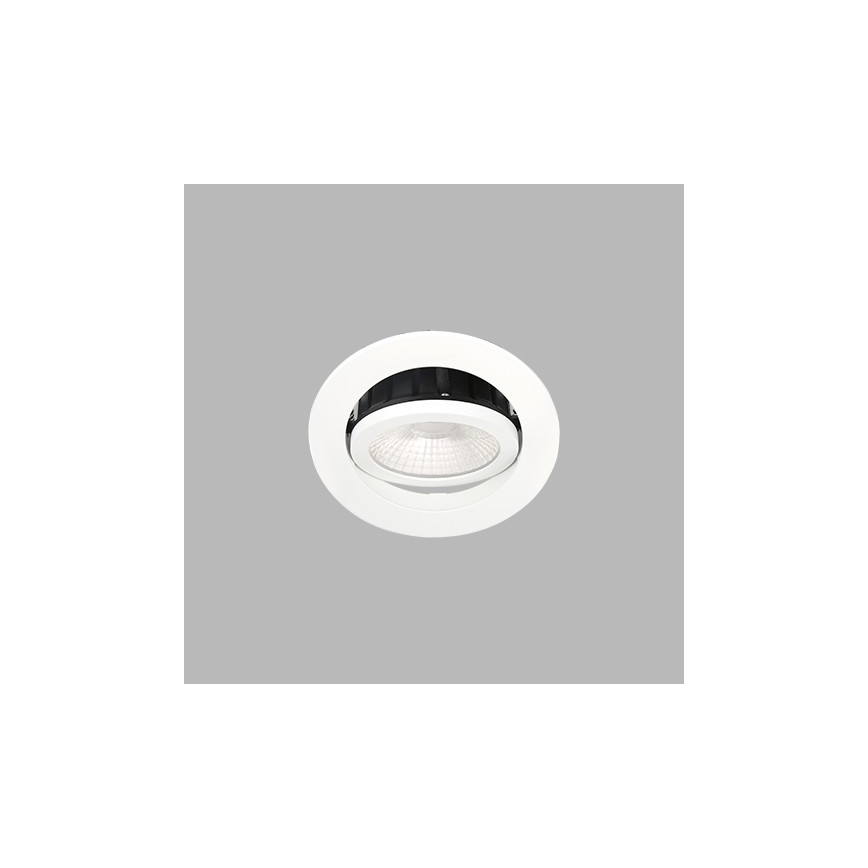 LED2 - LED Reguliuojamas vonios įleidžiamas šviestuvas MAX LED/8W/230V 3000K IP65