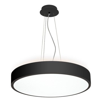 LED2 - LED šviestuvas ant laido ROTO LED/48W/230V 2700K/3300K/4000K IP40 juodas skersmuo 40 cm