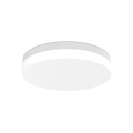 LED2 - LED vonios kambario lubinis šviestuvas YPSO LED/22W/230V 3000/4000K IP54 skersmuo 29 cm balta
