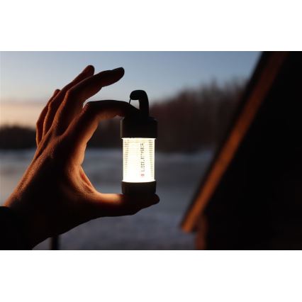 Ledlenser ML4 WARM LIGHT - LED įkraunamas kempingo žibintas su reguliuojamu ryškumu LED/1xAA/750 mAh IP66 300 lm