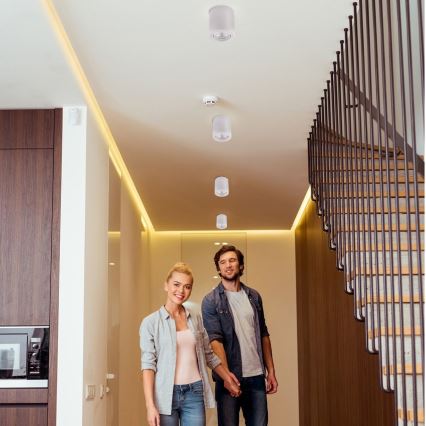 Ledvance - Akcentinis šviestuvas TUBA 1xGU10/50W/230V