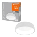 Ledvance - Dimeriuojamas LED šviestuvas SMART+ CYLINDER LED/26W/230V 3000K-6500K Wi-Fi