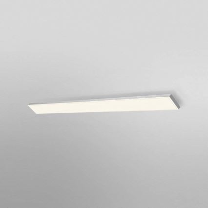 Ledvance - LED Ant paviršiaus montuojamas skydelis FRAMELESS LED/35W/230V 3000K