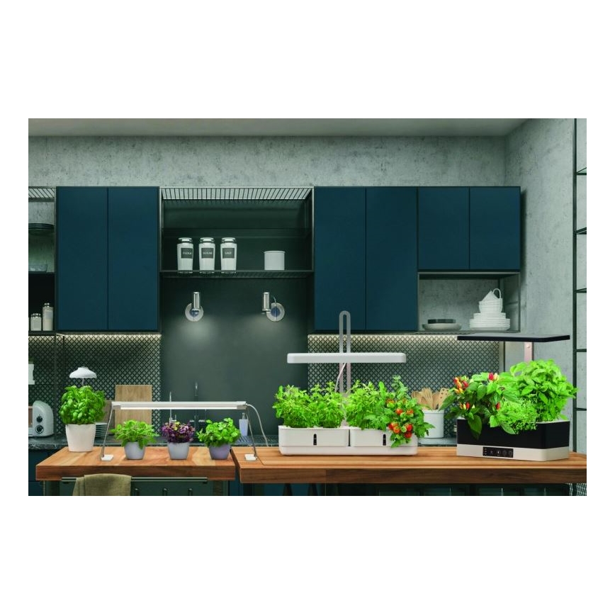 Ledvance - LED Interjero augalų lempa GARDEN LIGHT LED/14W/230V
