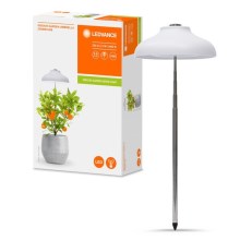 Ledvance - LED Interjero augalų lempa GARDEN LIGHT LED/5W/5V