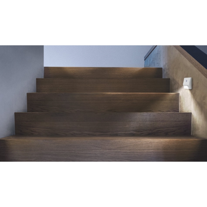 Ledvance - LED laiptų šviestuvas su jutikliu NIGHTLUX LED / 0.25W / 3xAAA IP54