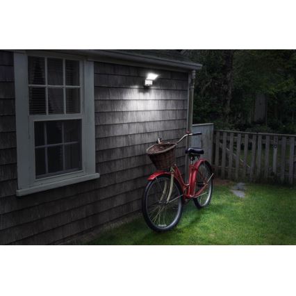 Ledvance - LED Lauko sieninis prožektorius su jutikliu SPOTLIGHT LED/4W/4xD IP54