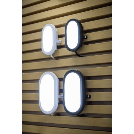 Ledvance - LED Lauko sieninis šviestuvas  BULKHEAD LED/6W/230V IP54 juodas