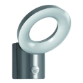 Ledvance - LED Lauko sieninis šviestuvas su jutikliu LOOP 1xLED/12W/230V IP44