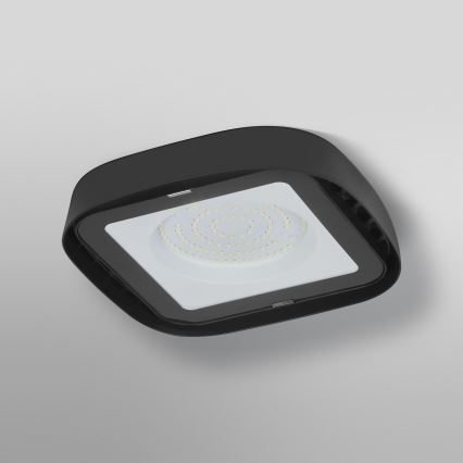 Ledvance - LED lubinis industrinis apšvietimas HIGHBAY LED/80W/230V IP65 6500K