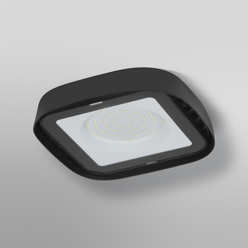 Ledvance - LED lubinis industrinis apšvietimas HIGHBAY LED/80W/230V IP65 6500K